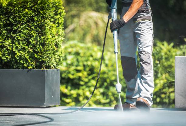 Best Spring Cleaning  in Constantine, MI