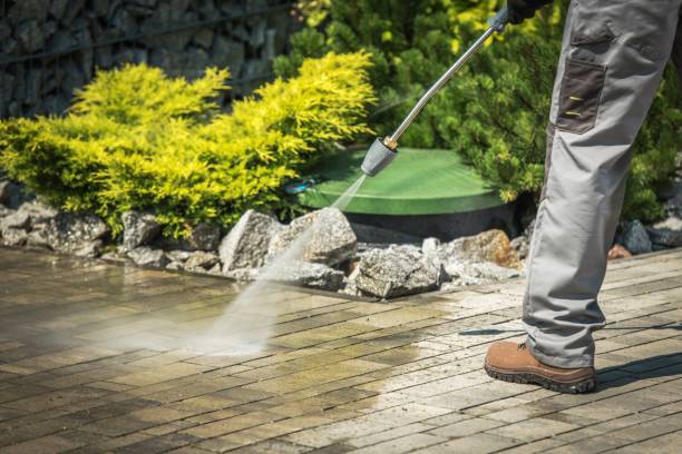 Best Patio and Deck Pressure Washing  in Constantine, MI