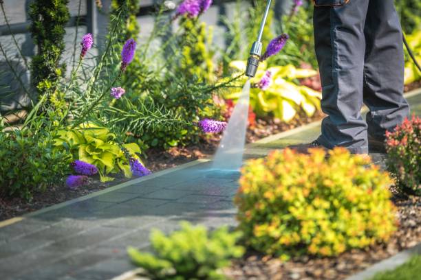 Best Dumpster Area Cleaning  in Constantine, MI