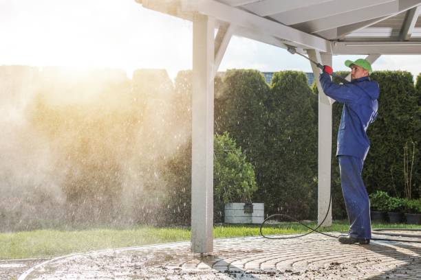 Best Fleet Vehicle Washing  in Constantine, MI