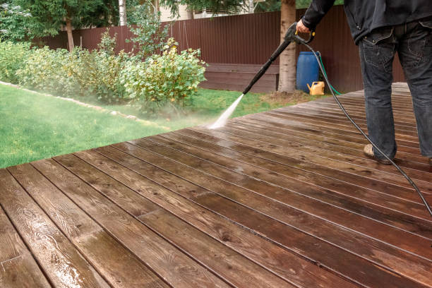 Best Roof Washing  in Constantine, MI