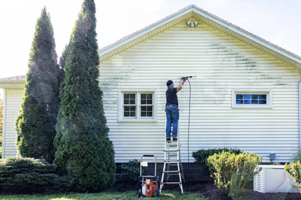 Best House Exterior Washing  in Constantine, MI