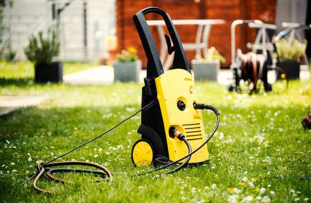 Best Pre-Holiday Cleaning  in Constantine, MI